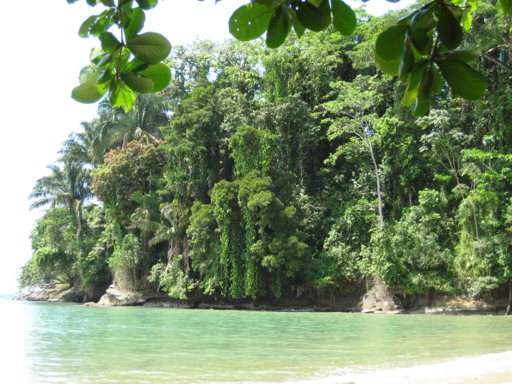 El Tucan Jungle Lodge Puerto Viejo de Talamanca Exteriér fotografie