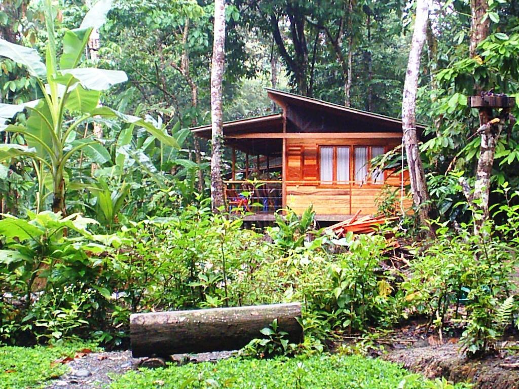 El Tucan Jungle Lodge Puerto Viejo de Talamanca Exteriér fotografie