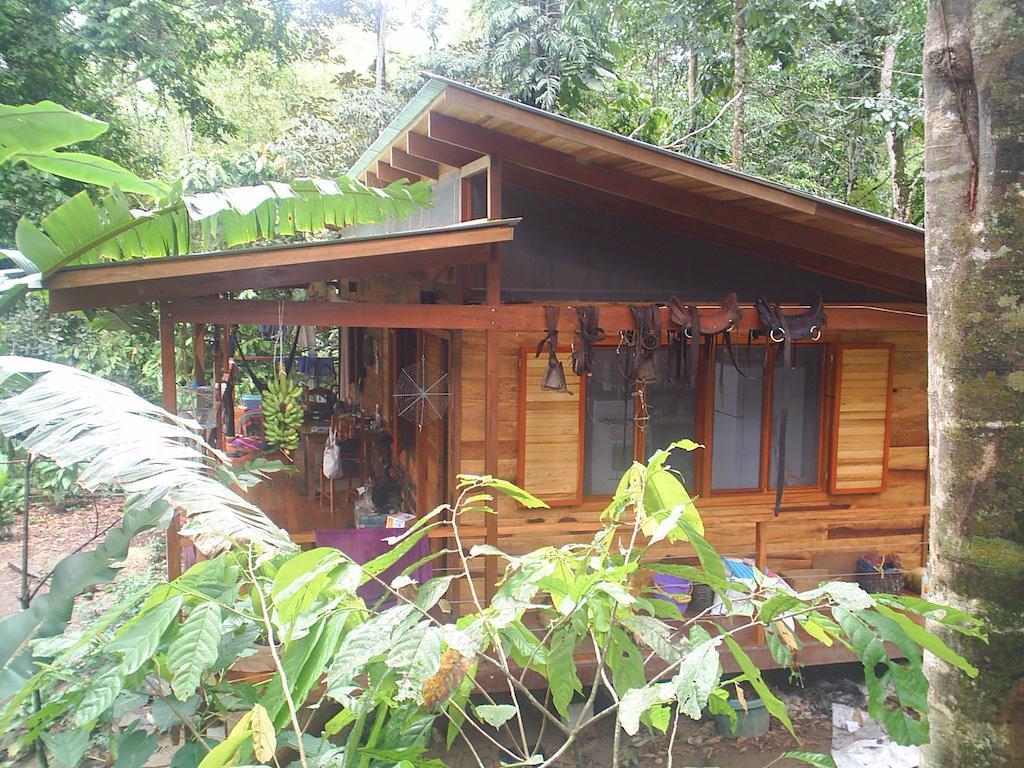 El Tucan Jungle Lodge Puerto Viejo de Talamanca Pokoj fotografie