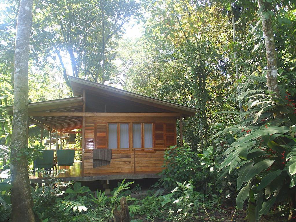 El Tucan Jungle Lodge Puerto Viejo de Talamanca Pokoj fotografie