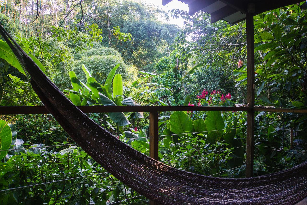 El Tucan Jungle Lodge Puerto Viejo de Talamanca Exteriér fotografie
