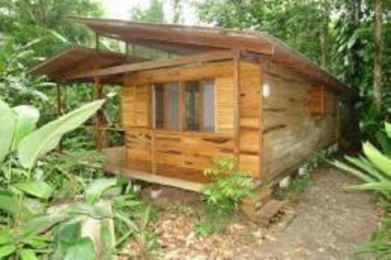El Tucan Jungle Lodge Puerto Viejo de Talamanca Exteriér fotografie