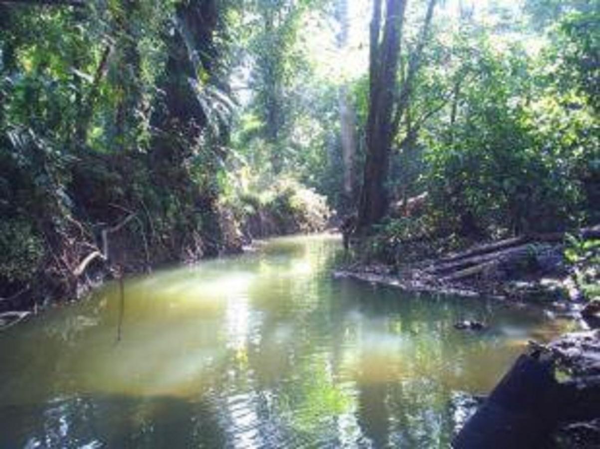 El Tucan Jungle Lodge Puerto Viejo de Talamanca Exteriér fotografie