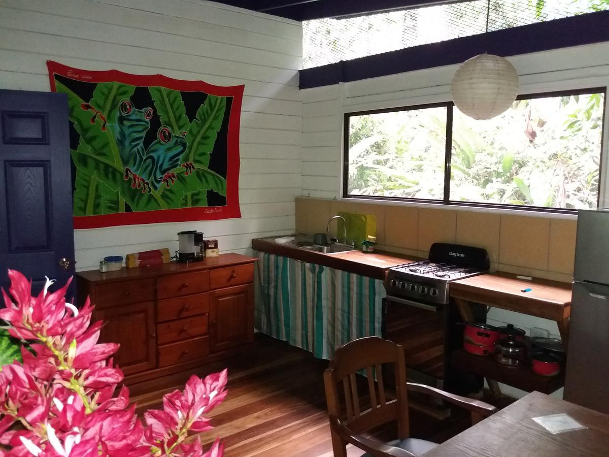 El Tucan Jungle Lodge Puerto Viejo de Talamanca Exteriér fotografie